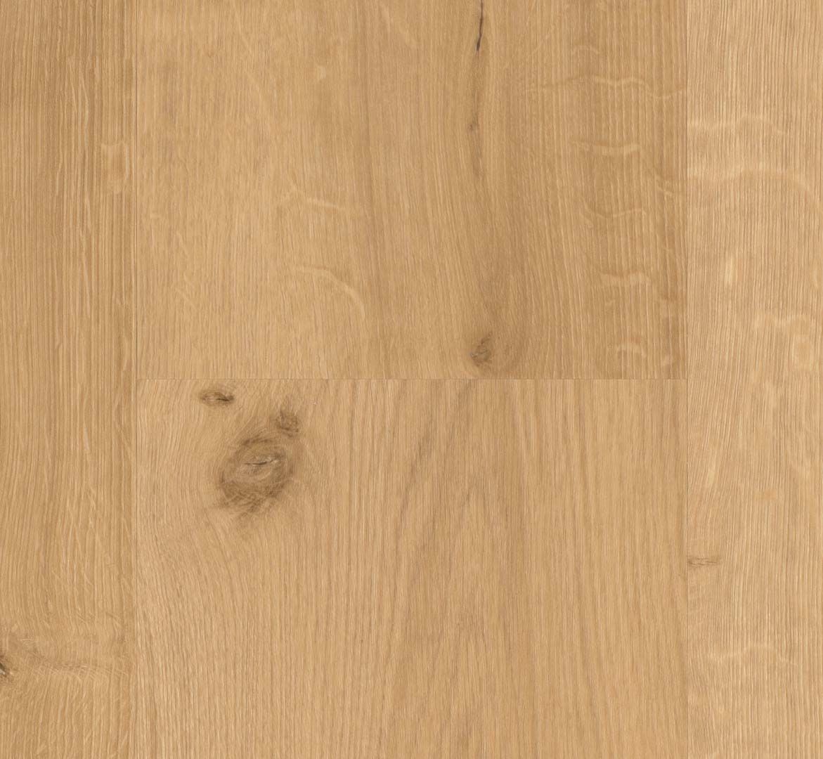 Oak Infinity Natural - Basic 2.0 Class 32 Vinyl Glue Down Wide Plank (Commercial)