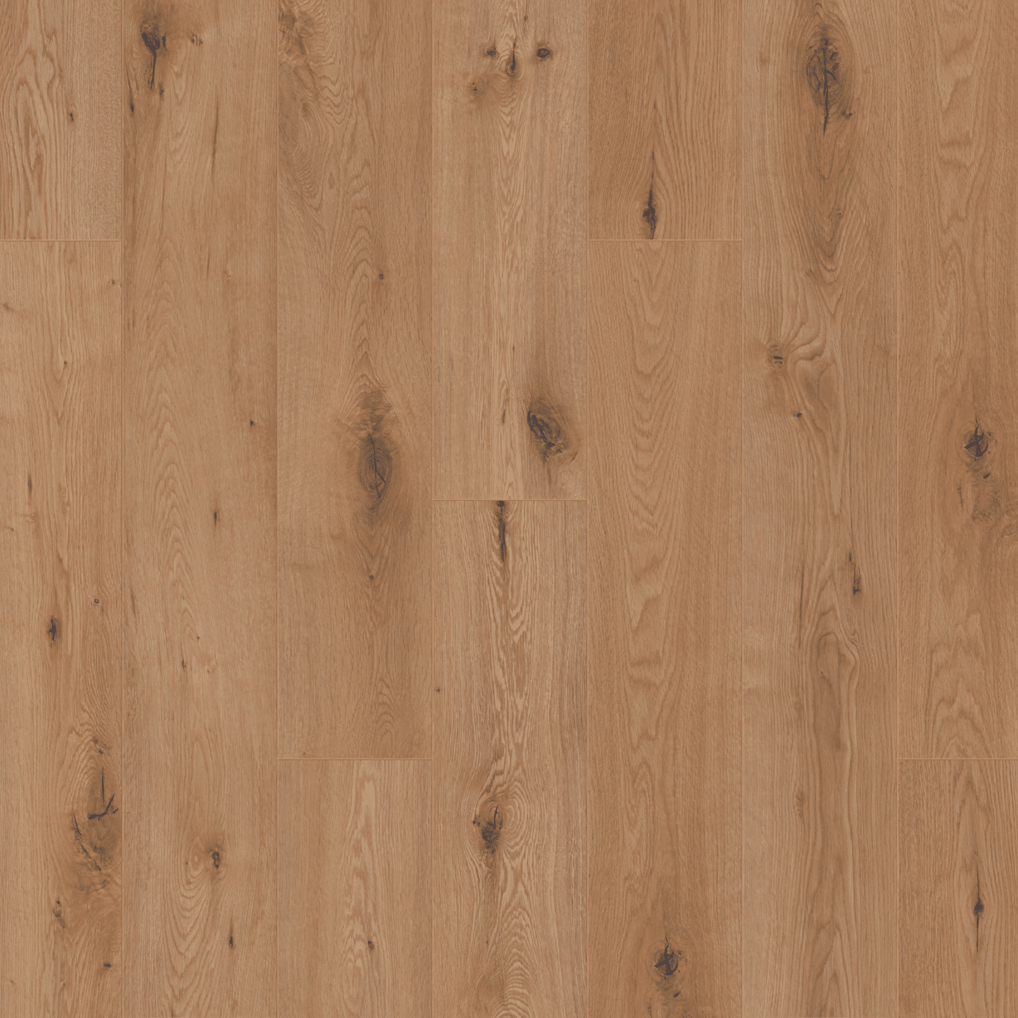 Oak Primus Brown Laminate Flooring Urban Click'in - 8mm 4V AC4/Class 32 (Light Commercial) - Parador South Africa