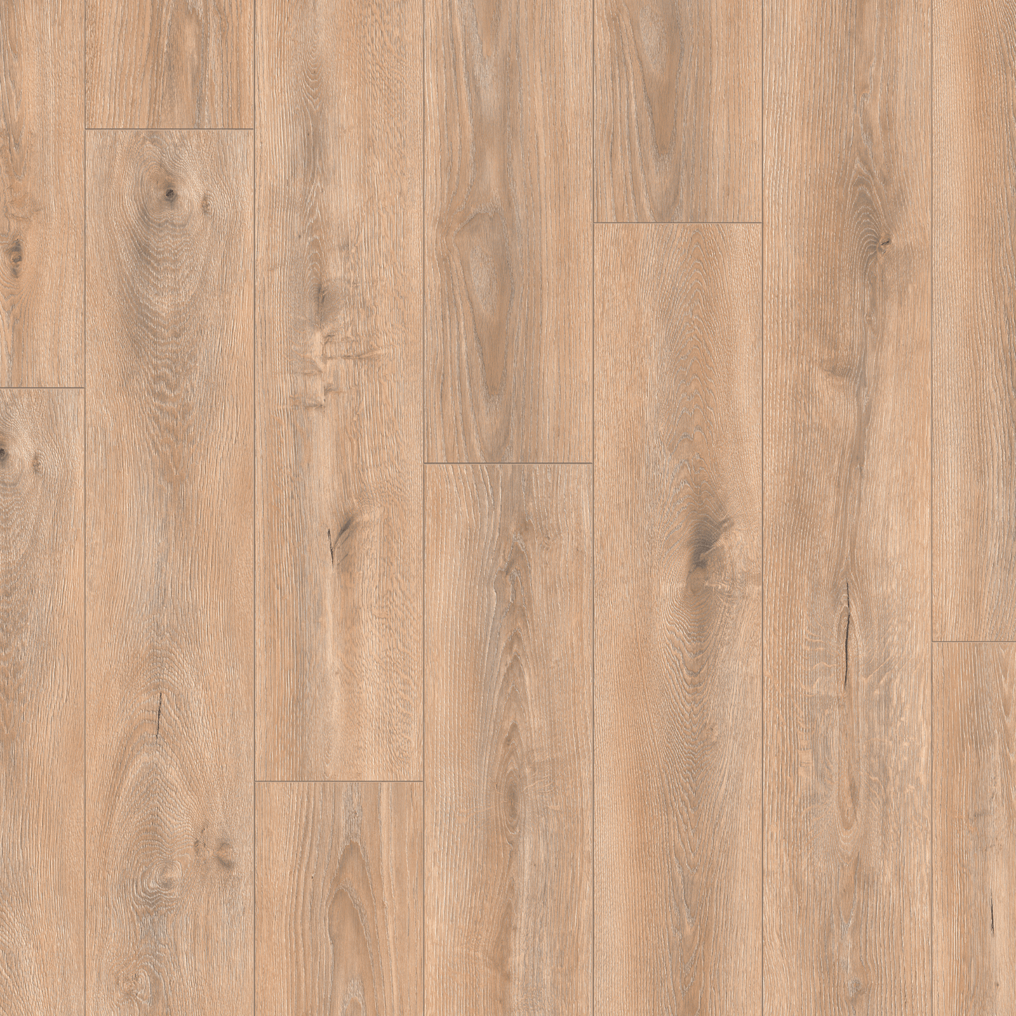 Click in Laminate FLooring Oak Nimbus - Urban Click'in 8mm 4V AC4/Class 32 (Light Commercial)