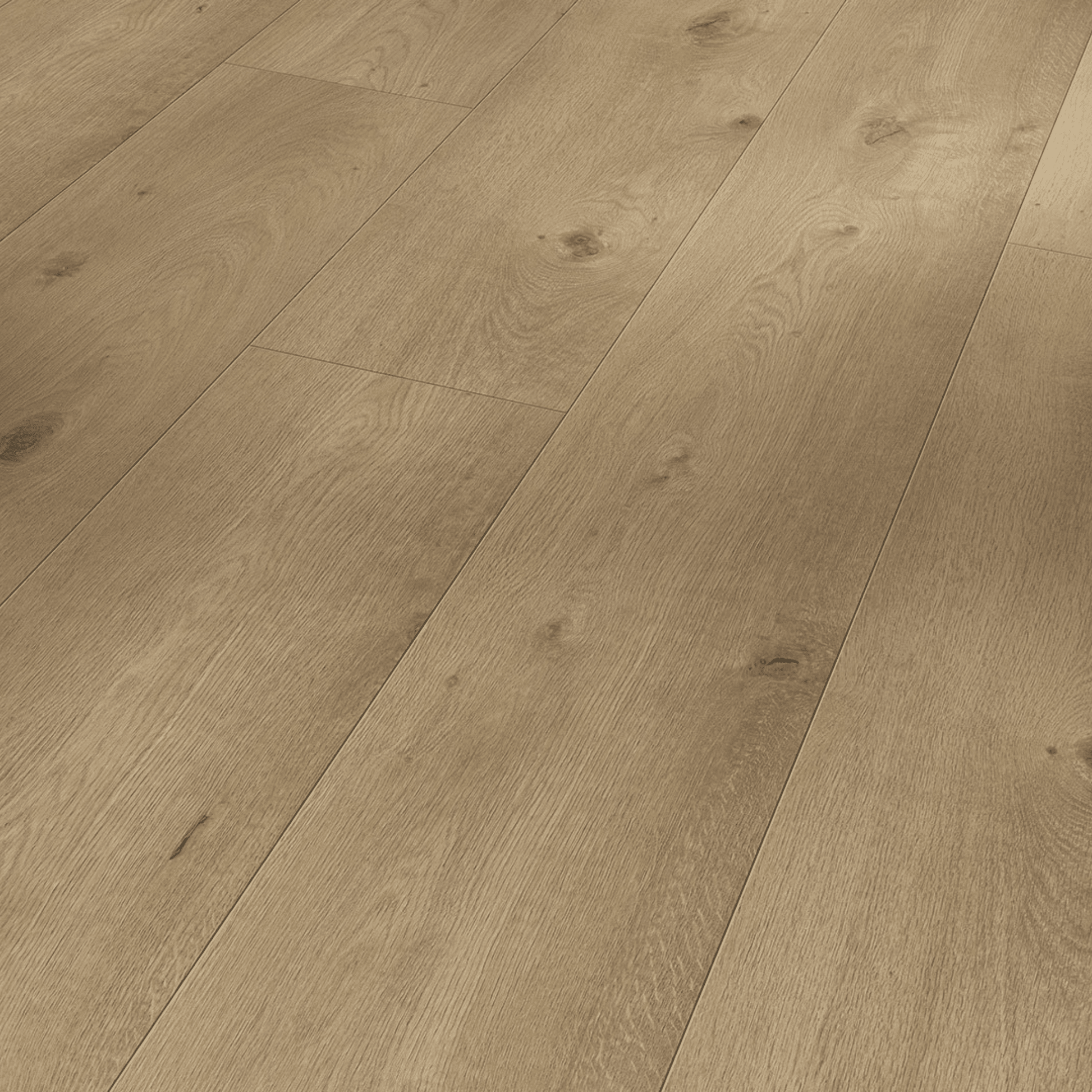 Laminate Chateau Flooring Plank Trendtime 6 - Oak Everglade Natural Matt Wood - Best Flooring Board Cape Town