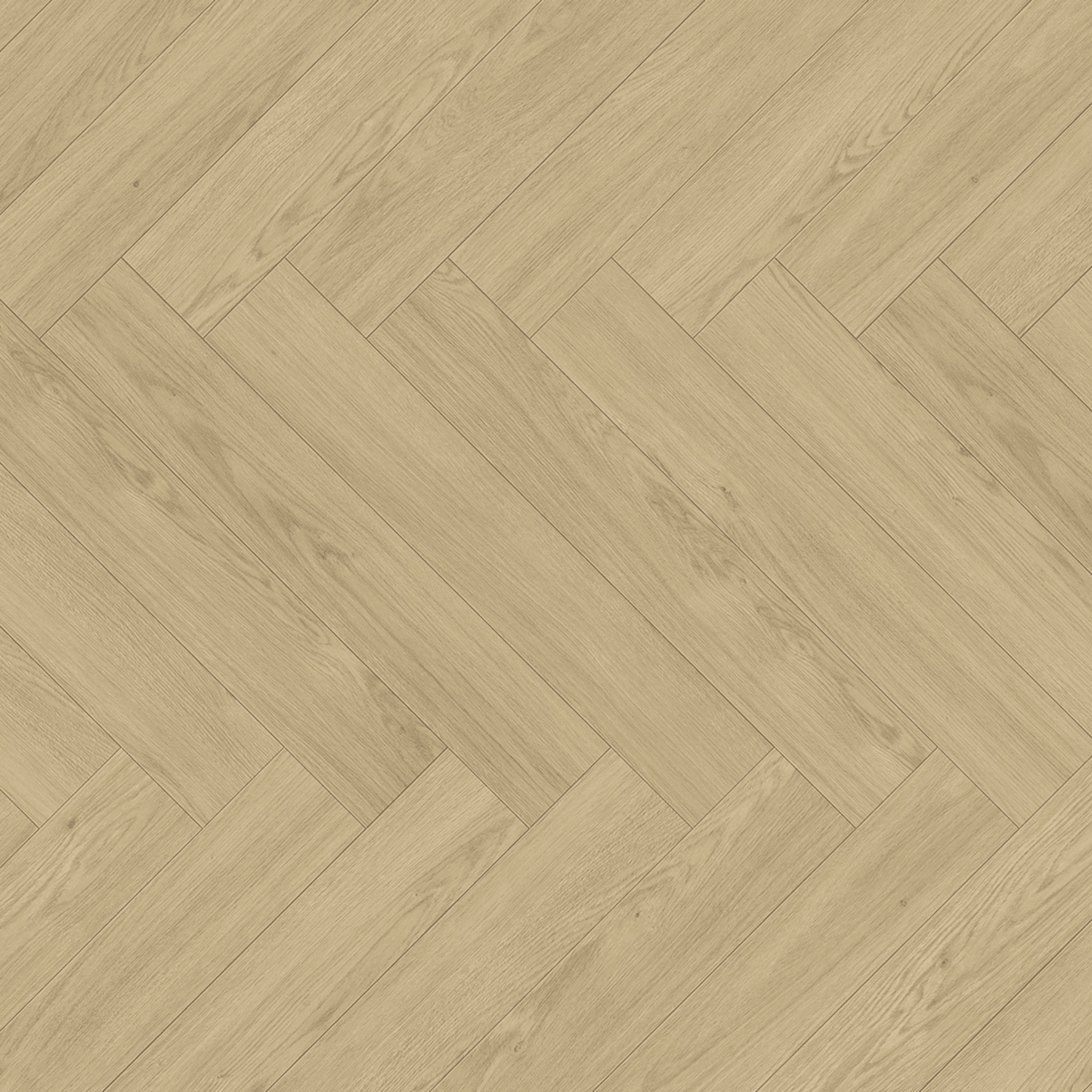 Oak Mont Blanc Sanded Modern Trendtime 3 Laminate Herringbone Matt Wood Texture