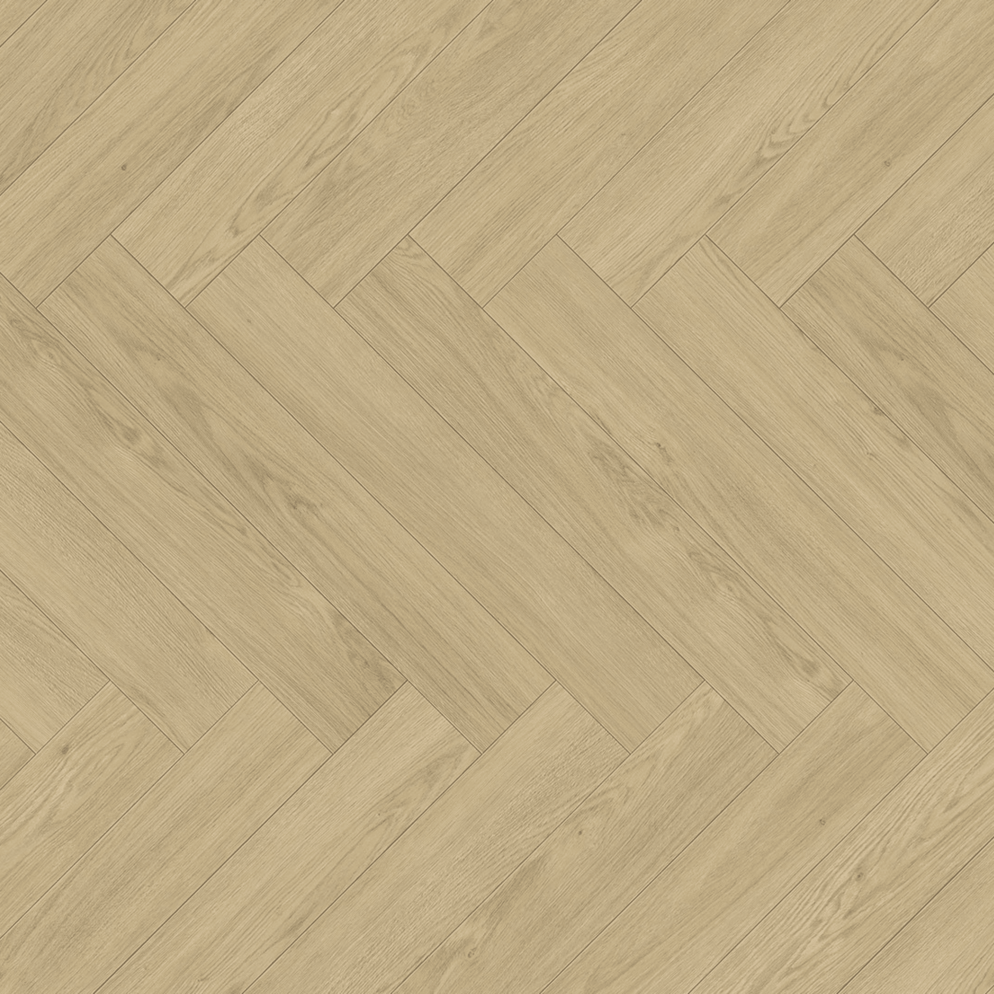 Oak Mont Blanc Sanded Modern Trendtime 3 Laminate Herringbone Matt Wood Texture